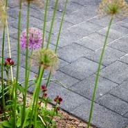 1033 - Kleurechte deklaag