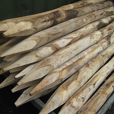 Kastanjehouten Palen Gepunt/Geschild 250 cm