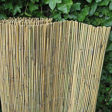 Hele Bamboemat Oriental 150X300