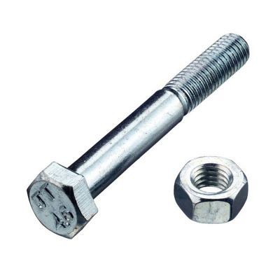 Moerbout 10x160mm Verzinkt